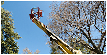 Crane in Ohio, West Virginia, & Kentucky